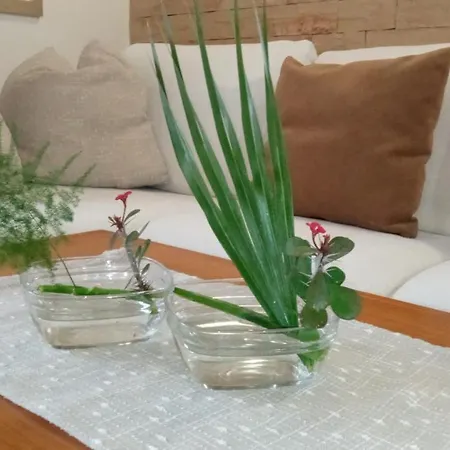펜션 Casa Enric *